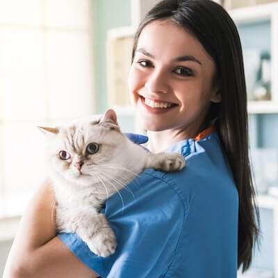 Tar du hand om katter på ditt jobb?